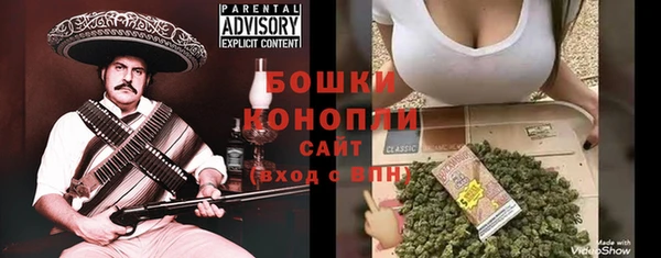 mix Богородицк